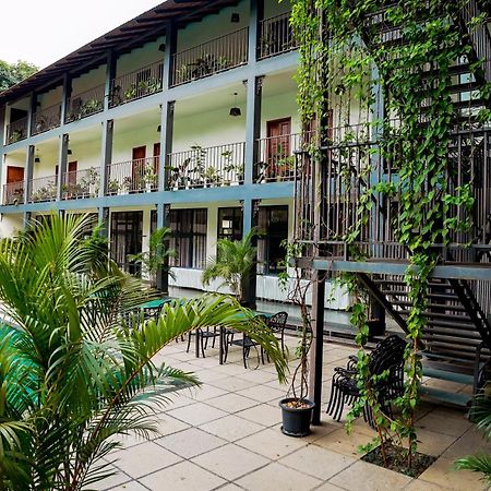 Fern Tree Resort Манантавади Экстерьер фото